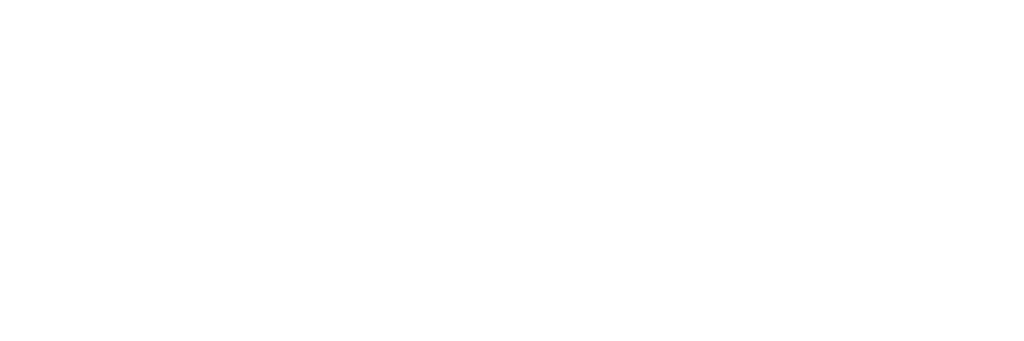 HOIZ LOGOTYP