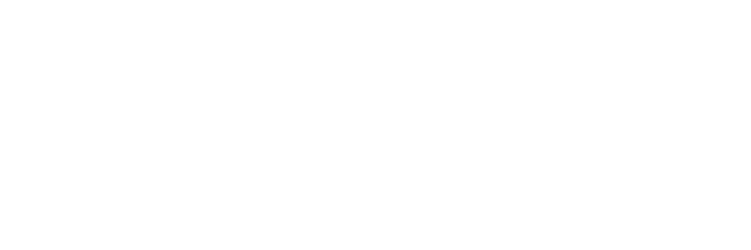 HOIZ LOGOTYP
